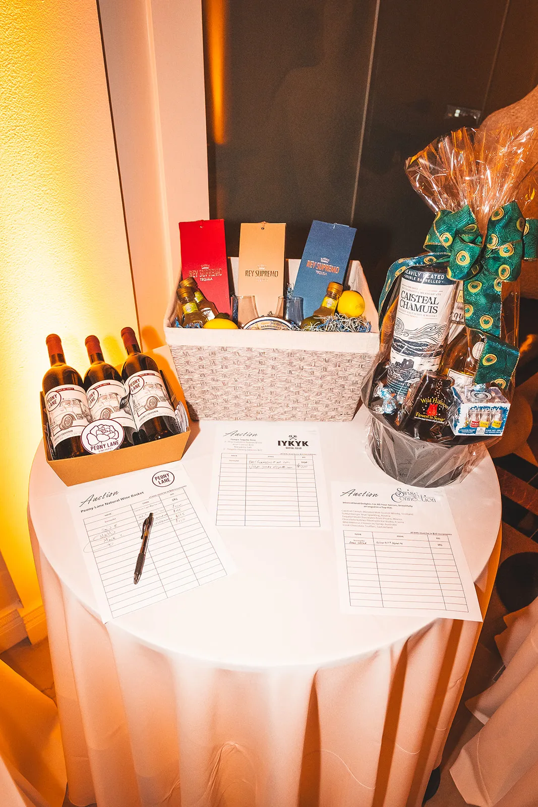Bitcoin Bay Foundation — soiree 2024