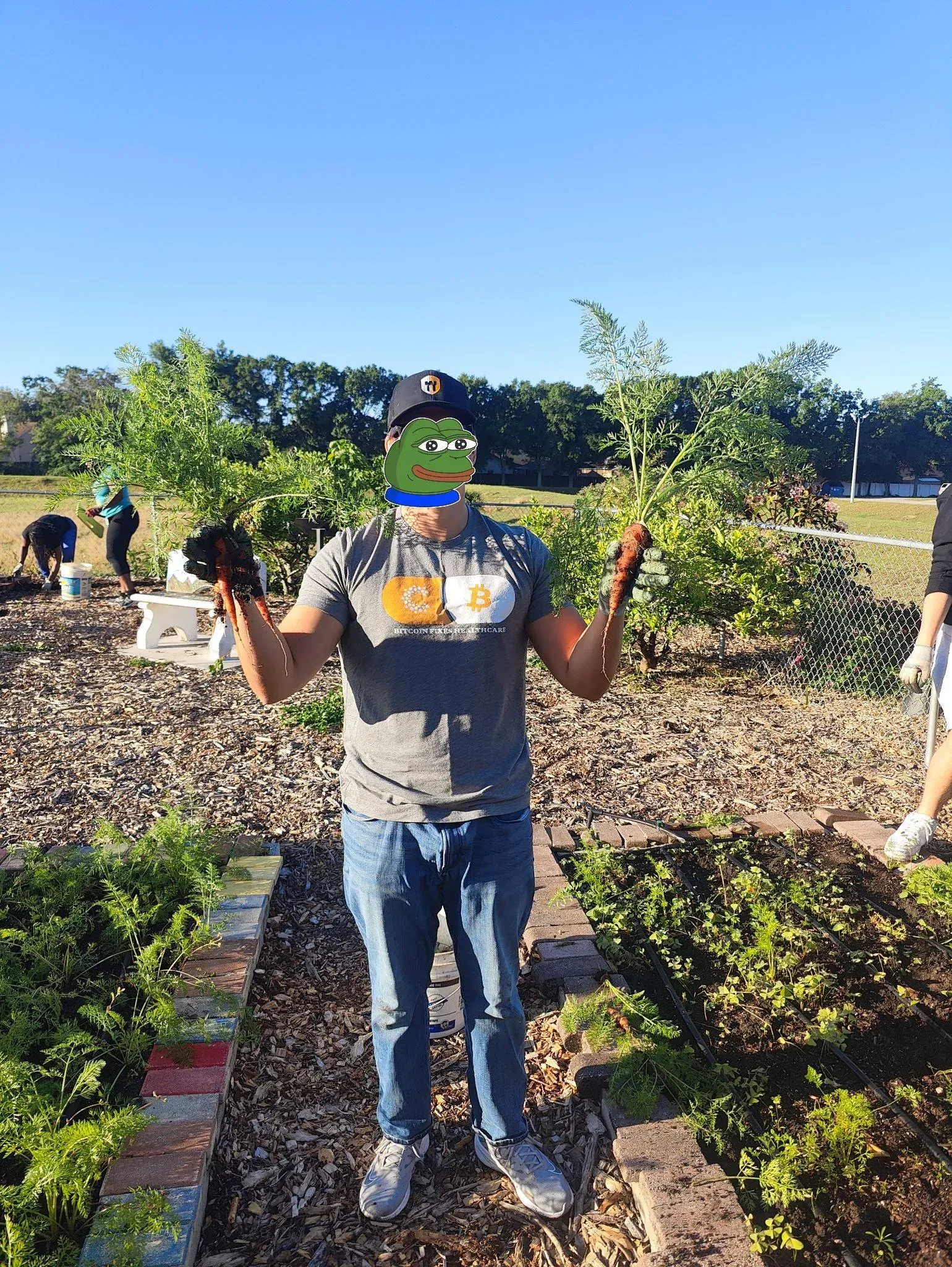 Bitcoin Bay Foundation — volunteer work