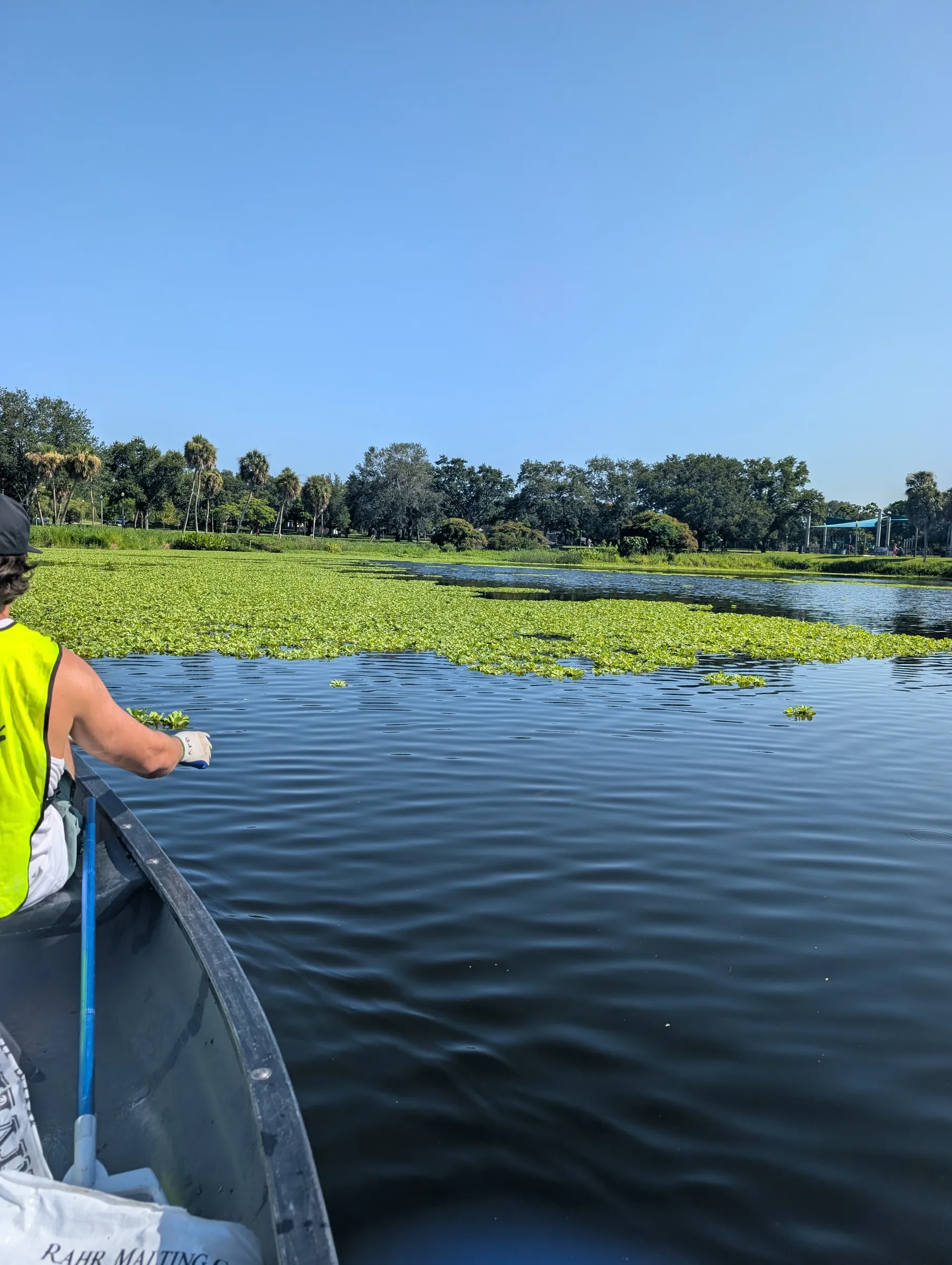 Bitcoin Bay Foundation — volunteer work